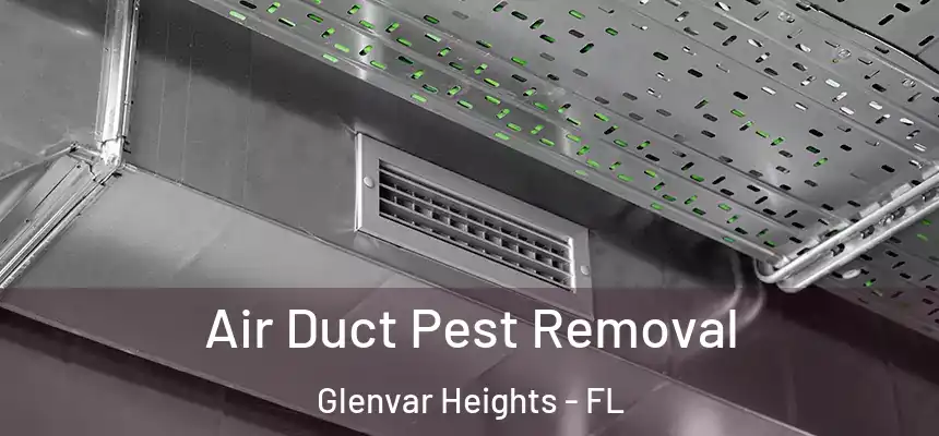 Air Duct Pest Removal Glenvar Heights - FL