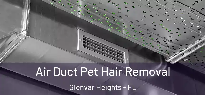  Air Duct Pet Hair Removal Glenvar Heights - FL