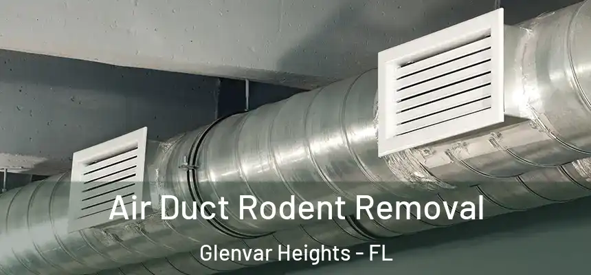 Air Duct Rodent Removal Glenvar Heights - FL