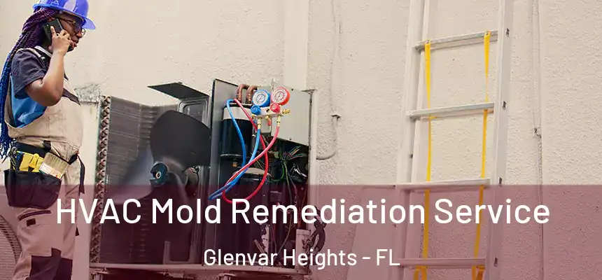 HVAC Mold Remediation Service Glenvar Heights - FL
