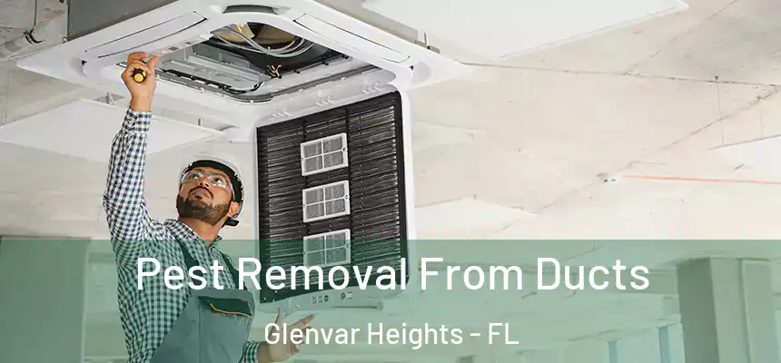  Pest Removal From Ducts Glenvar Heights - FL