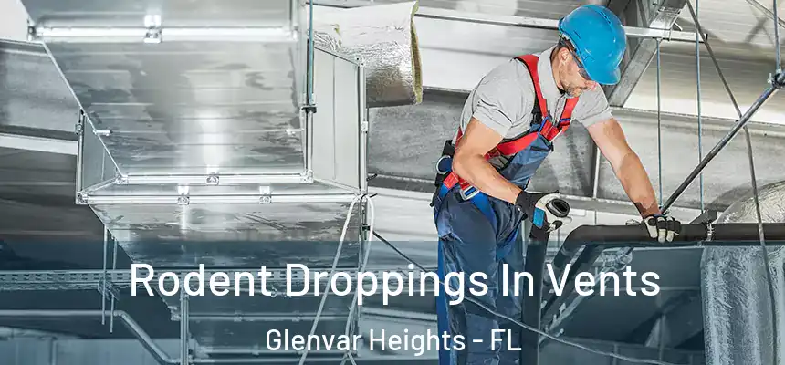 Rodent Droppings In Vents Glenvar Heights - FL
