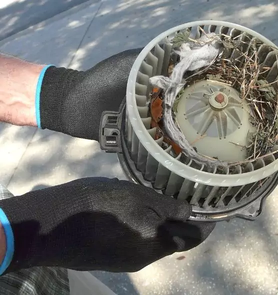 About Air Duct Mice Removal in Glenvar Heights, FL