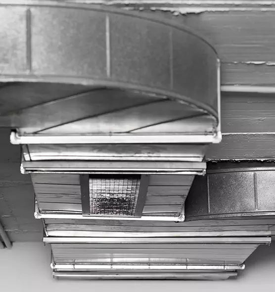 Professional Air Duct Pest Removal in Glenvar Heights, FL