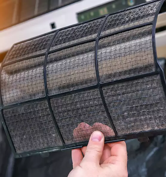 About Pet Dander Duct Cleaning in Glenvar Heights, FL